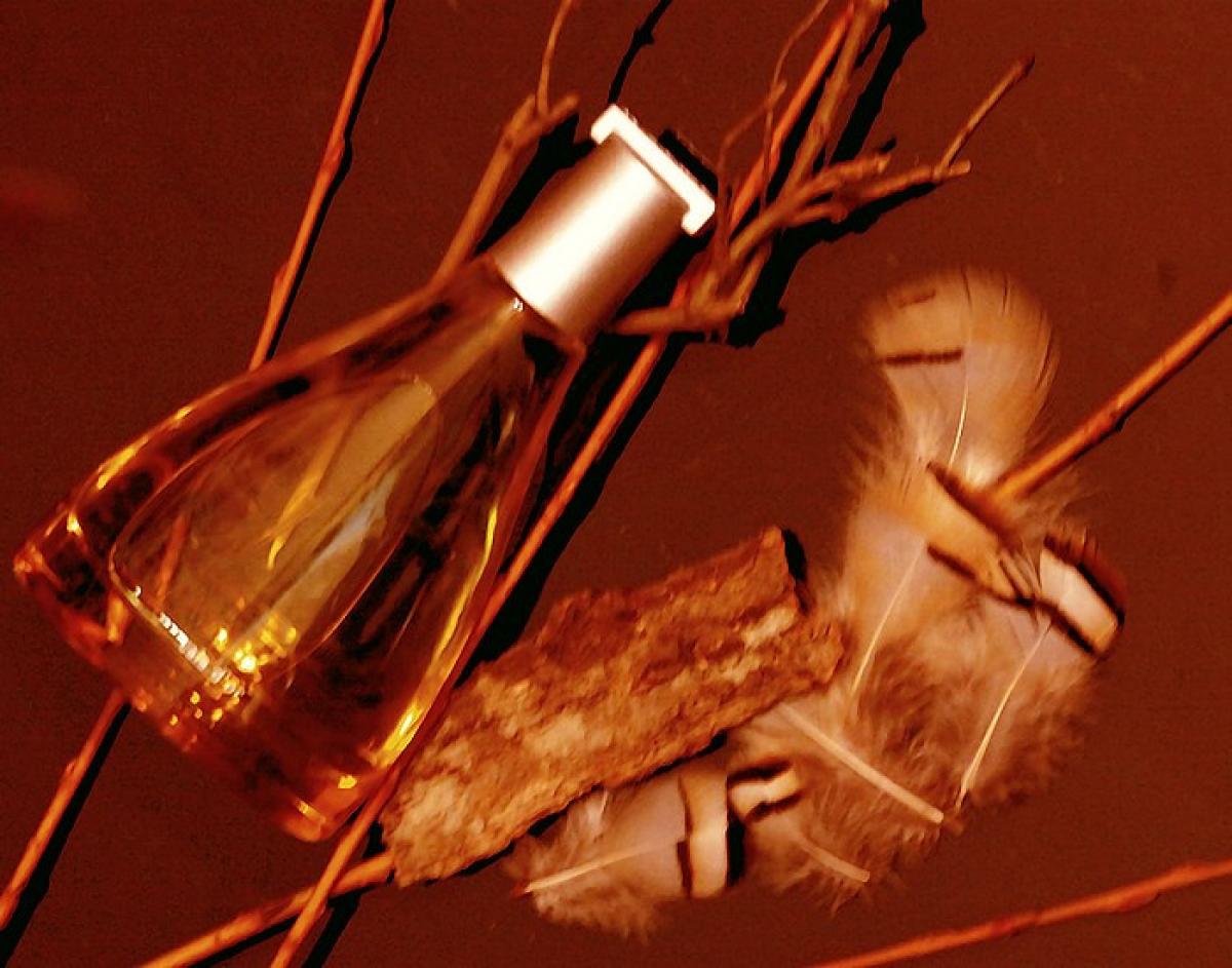 عطر ادکلن آگوا د لووه کالا دور لووه - Agua de Loewe Cala d'Or Loewe - بررسی، قیمت و خرید