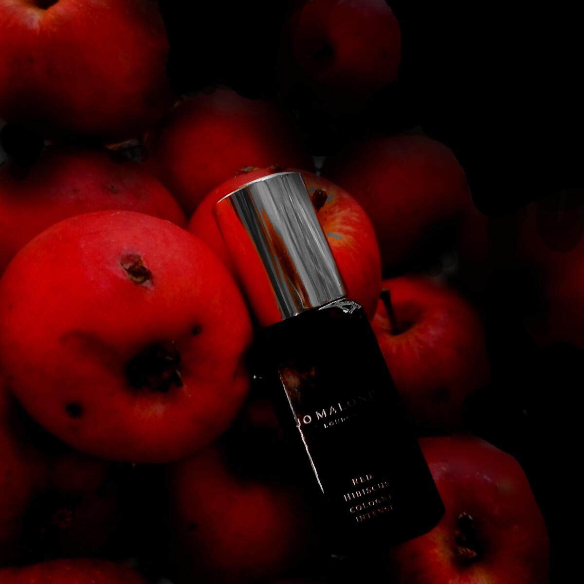 عطر ادکلن رد هیبیسکوس کلون اینتنس جو مالون لاندن - Red Hibiscus Cologne Intense Jo Malone London - بررسی، قیمت و خرید