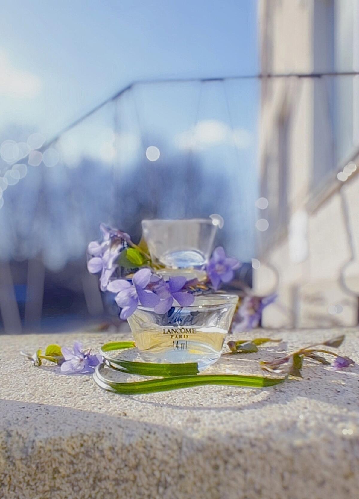 عطر ادکلن کلایمت پارفوم اکستریت لَنکوم - Climat Parfum Extrait Lancôme - بررسی، قیمت و خرید