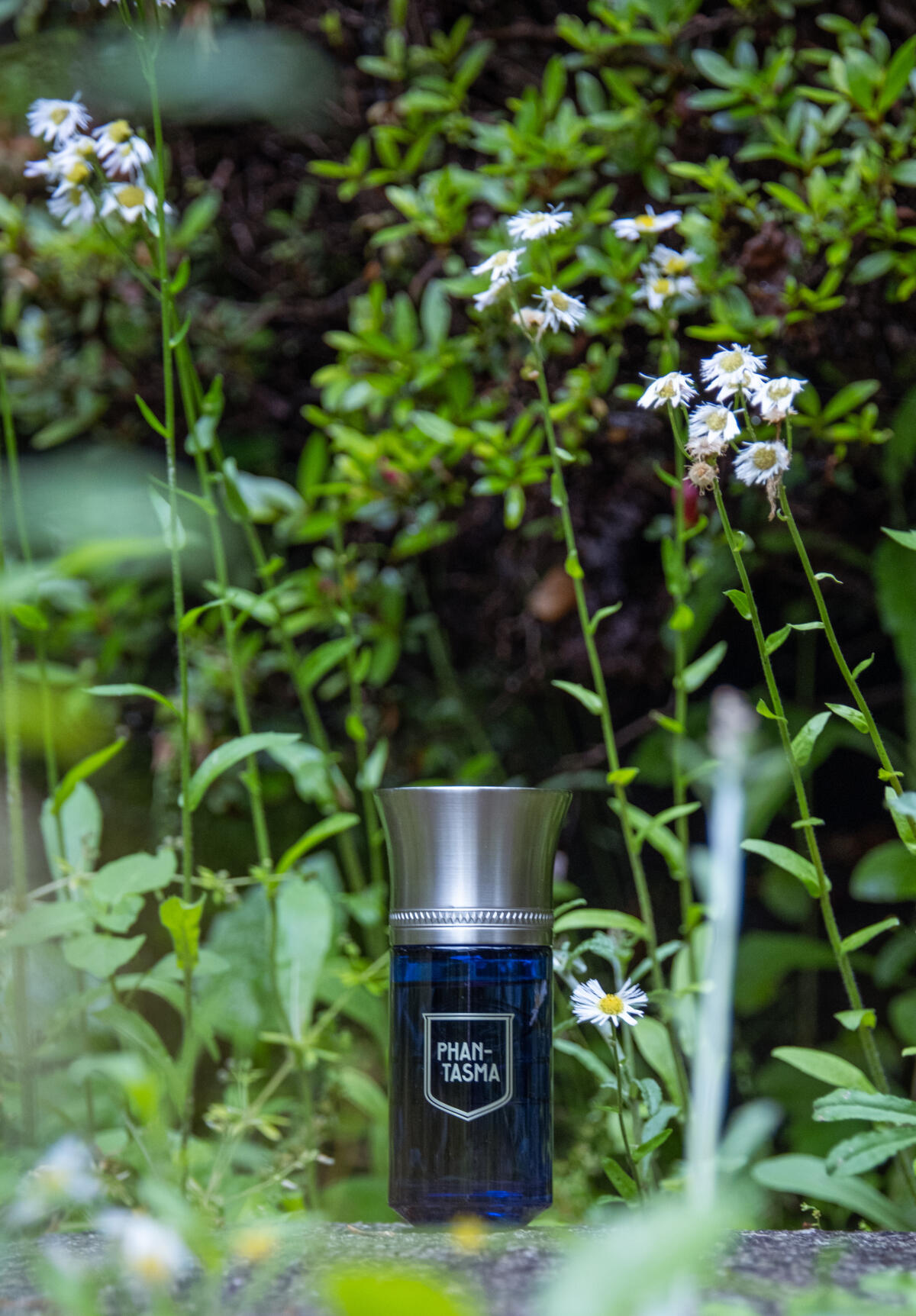 عطر ادکلن فانتاسما او دو پرفیوم له لیکیدز ایماژینر - Phantasma Eau de Parfum Les Liquides Imaginaires - بررسی، قیمت و خرید