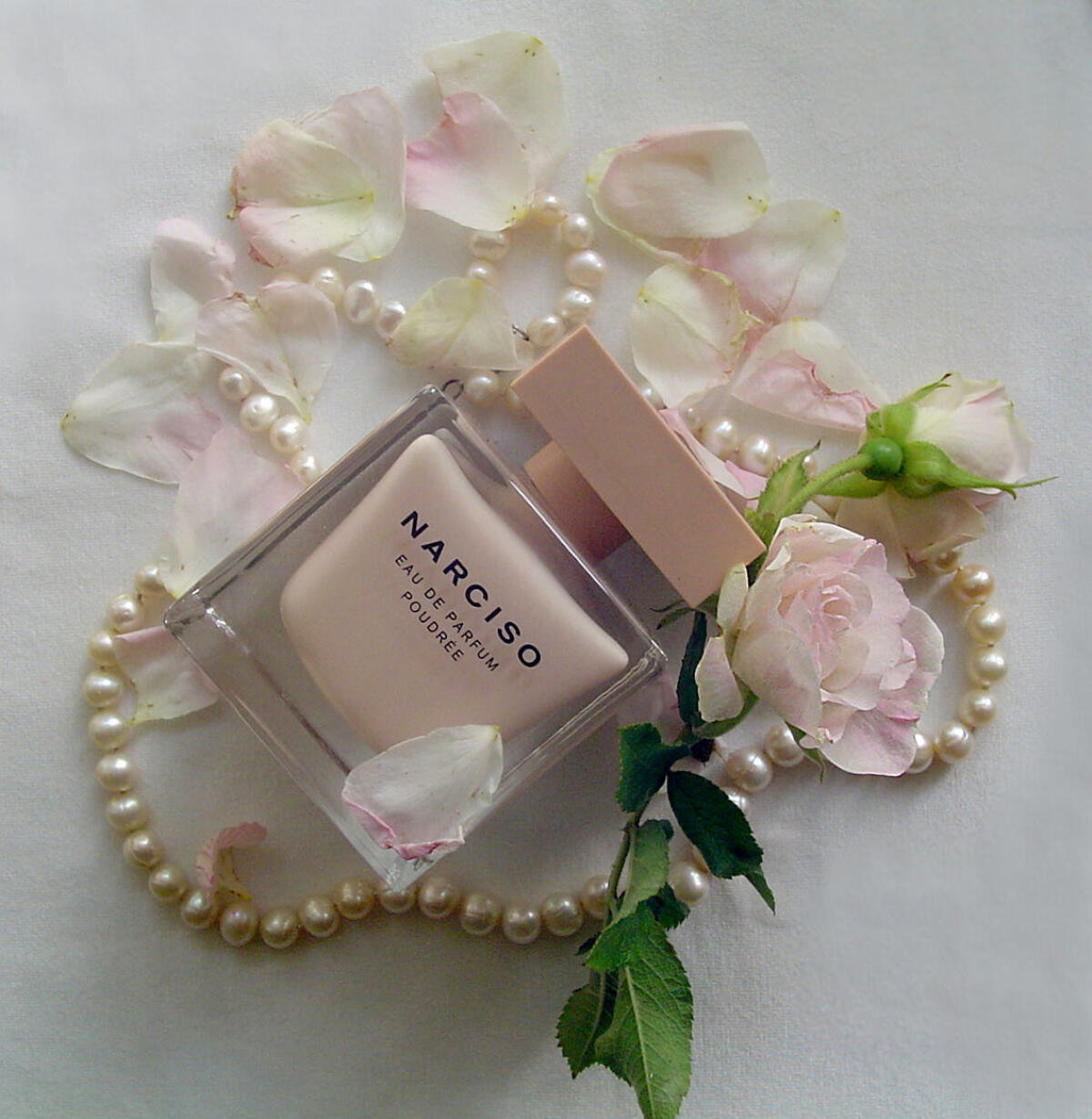 عطر ادکلن نارسیسو پودره نارسیزو رودریگز - Narciso Poudree Narciso Rodriguez - بررسی، قیمت و خرید