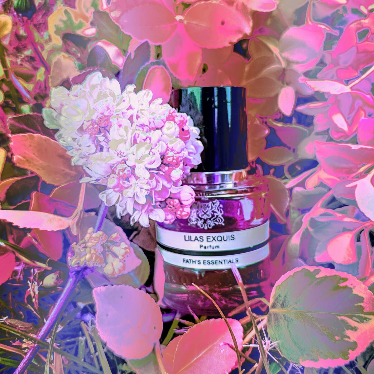 عطر ادکلن لیلاس اکسکیز ژاک فت - Lilas Exquis Jacques Fath - بررسی، قیمت و خرید