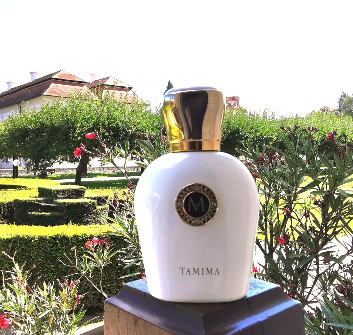 عطر ادکلن تامیمه مورِسک - Tamima Moresque - بررسی، قیمت و خرید