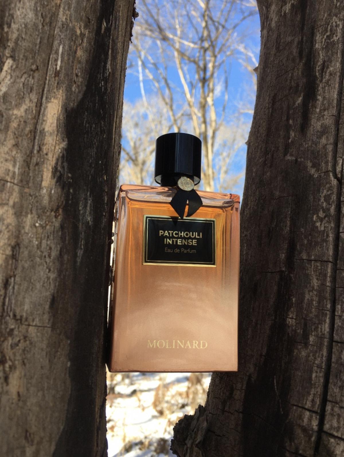 عطر ادکلن پَچولی اینتنس مولینارد - Patchouli Intense Molinard - بررسی، قیمت و خرید
