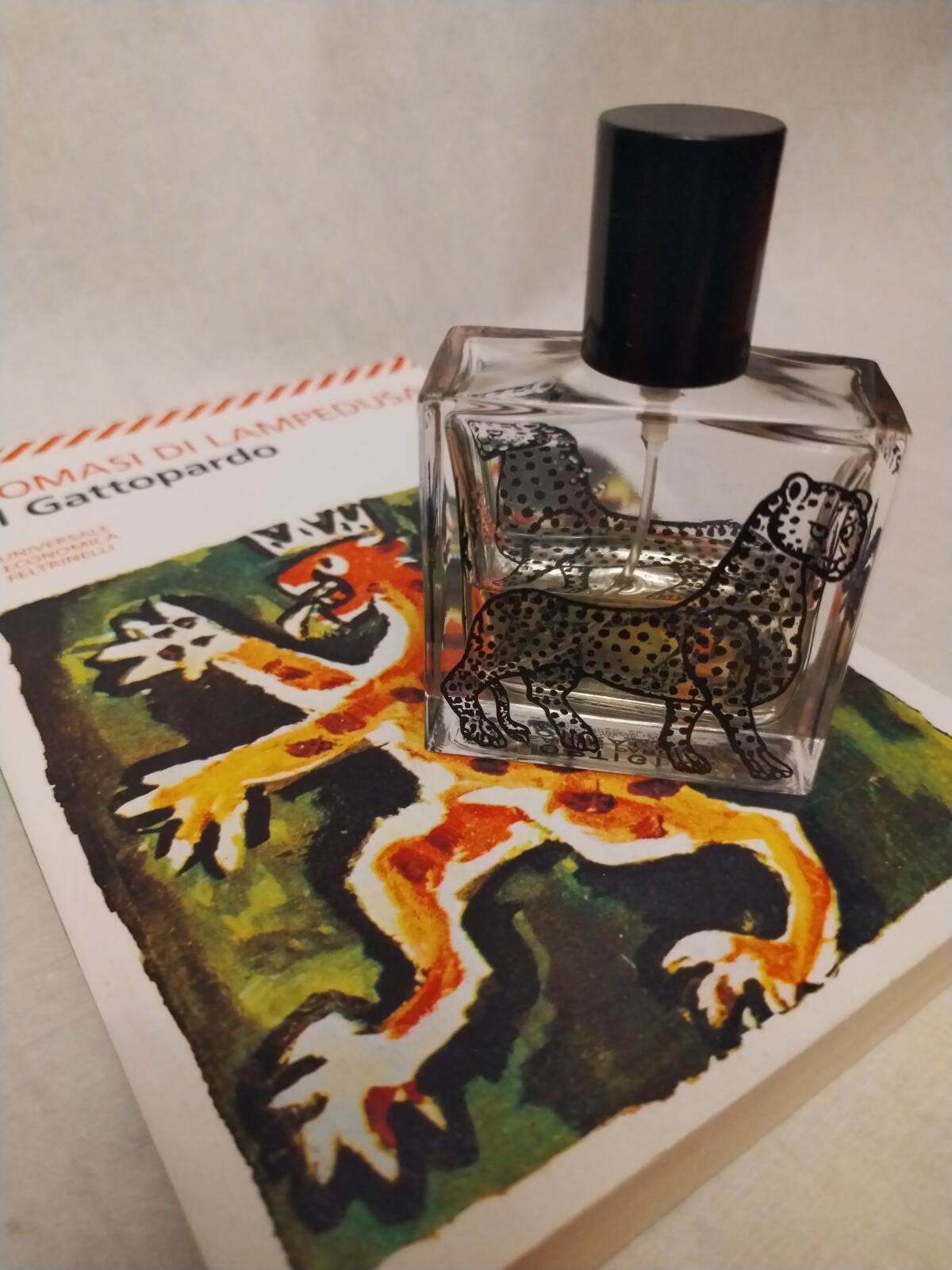 عطر ادکلن کورال شل اورتگیا سیسیلیا - Coral Shell Ortigia Sicilia - بررسی، قیمت و خرید