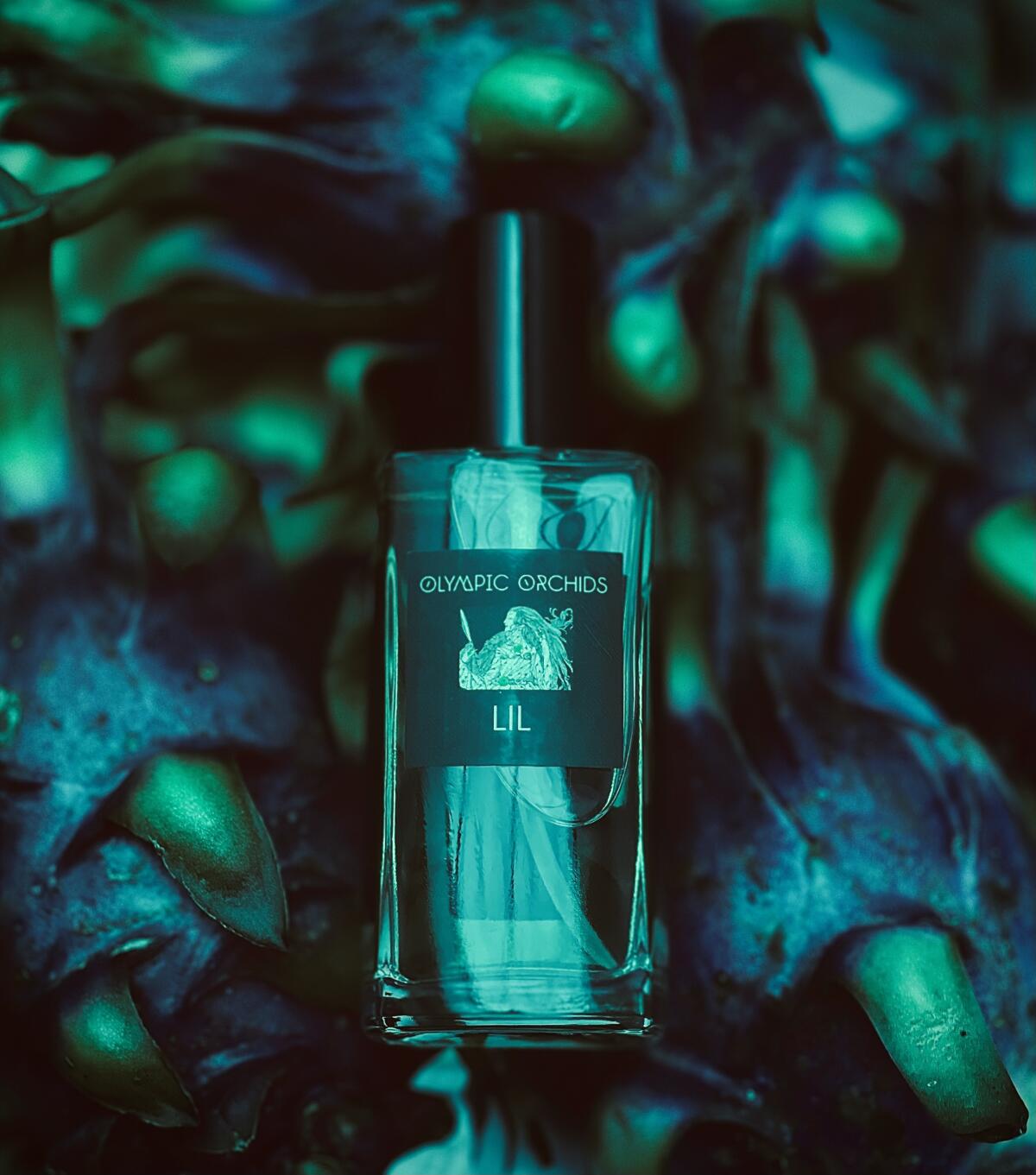 عطر ادکلن لیل اُلیمپیک اُرکیدز آرتیسان پرفیومز - LIL Olympic Orchids Artisan Perfumes - بررسی، قیمت و خرید