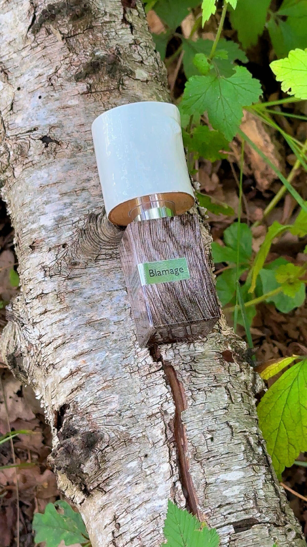 عطر ادکلن بلاژ ناسوماتو - Blamage Nasomatto - بررسی، قیمت و خرید