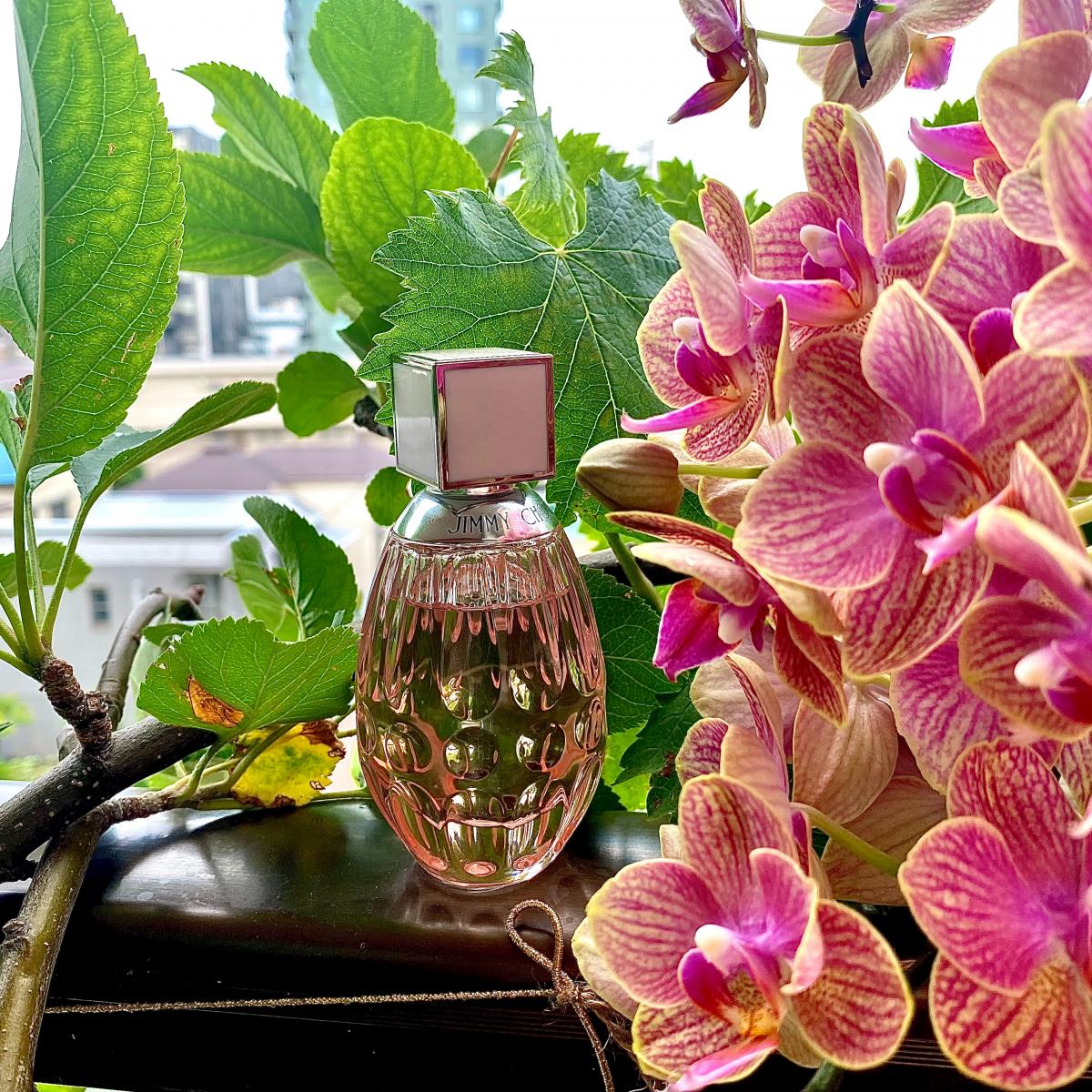 عطر ادکلن جیمی چو لو جیمی چو - Jimmy Choo L'Eau Jimmy Choo - بررسی، قیمت و خرید