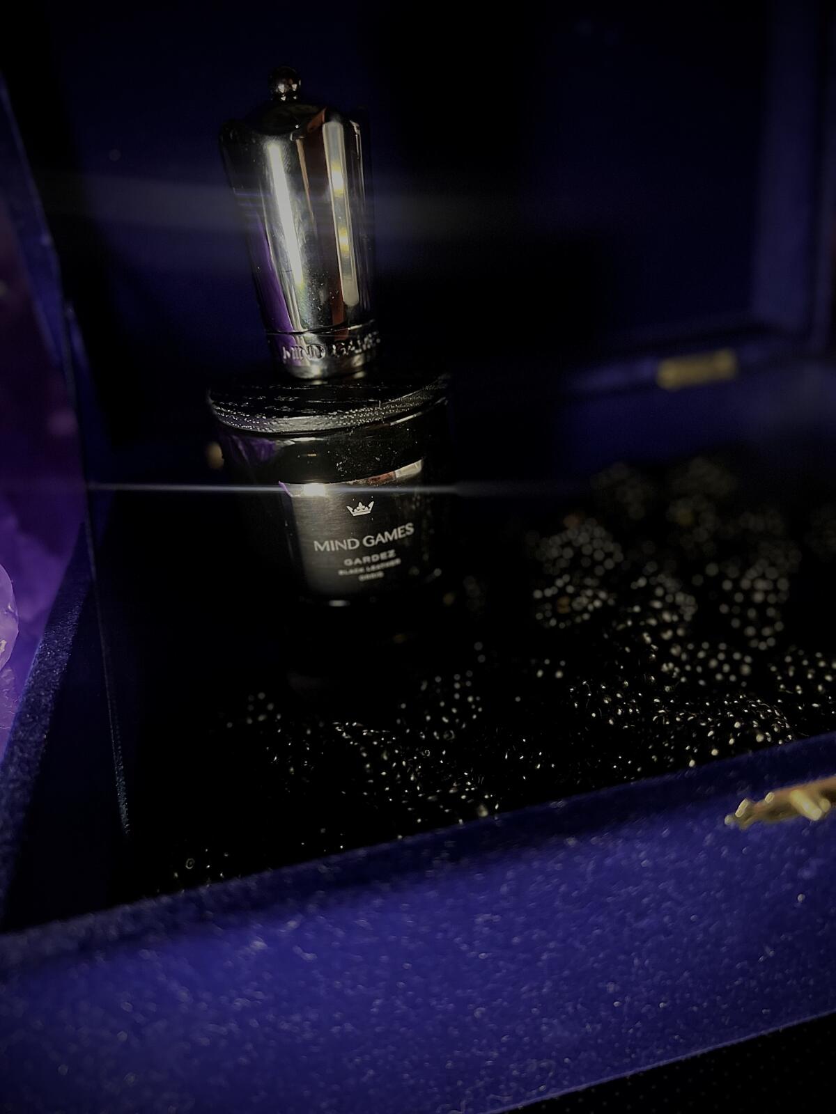 عطر ادکلن گاردز مایند گیمز - Gardez Mind Games - بررسی، قیمت و خرید