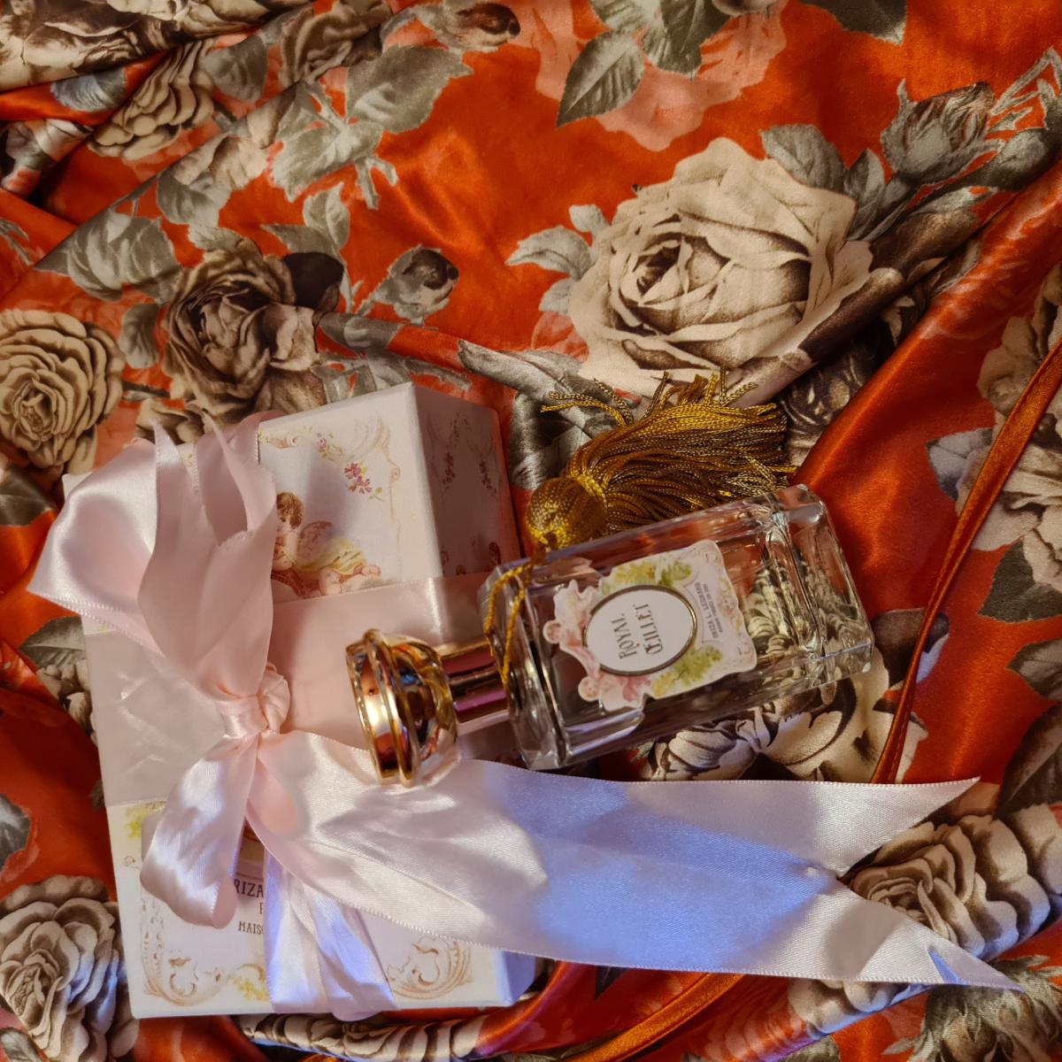 عطر ادکلن رویال اویله اوریزا ال. لگراند - Royal Oeillet Oriza L. Legrand - بررسی، قیمت و خرید