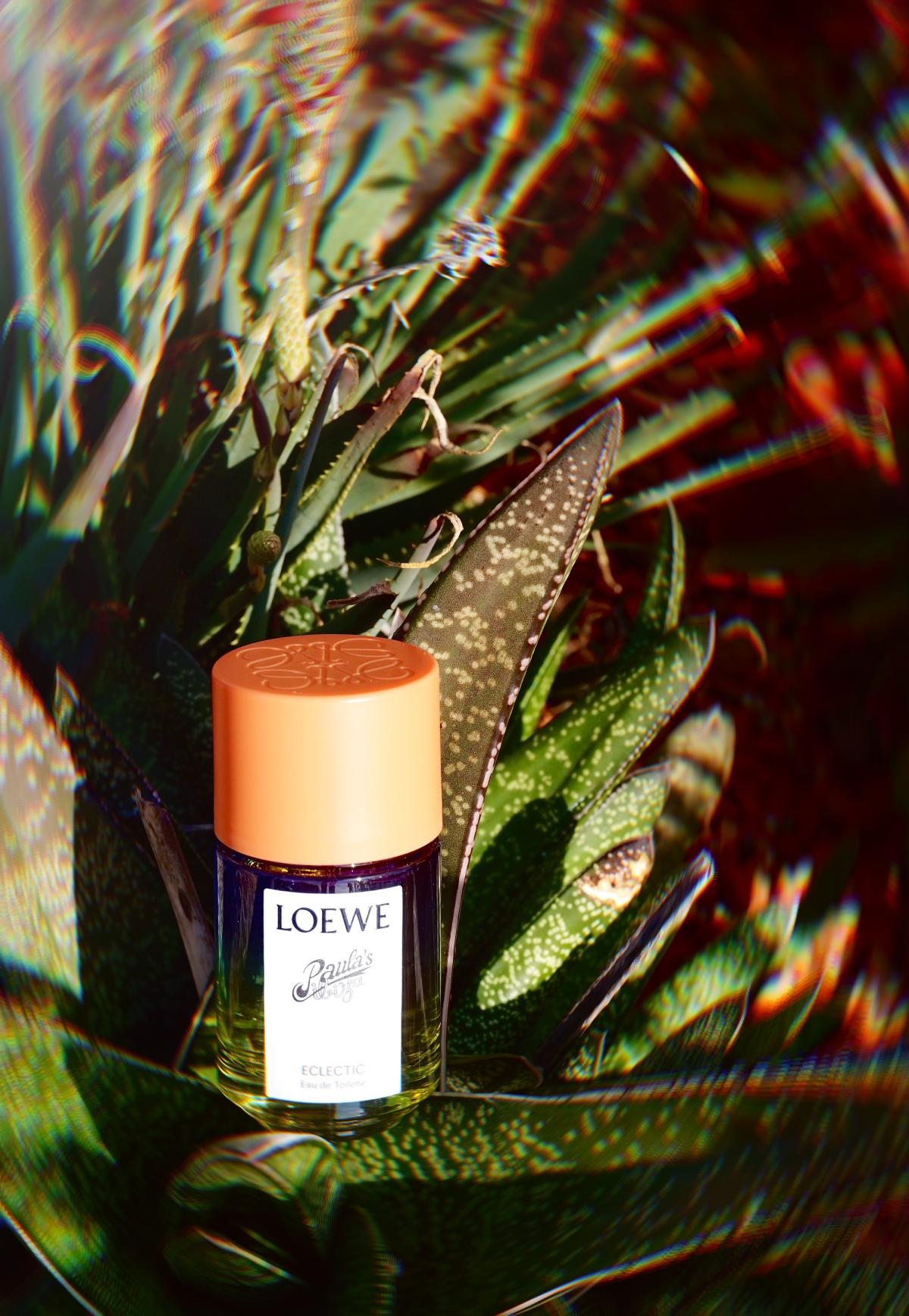 عطر ادکلن پائولاز ایبیزا اکلتیک لووه - Paula's Ibiza Eclectic Loewe - بررسی، قیمت و خرید