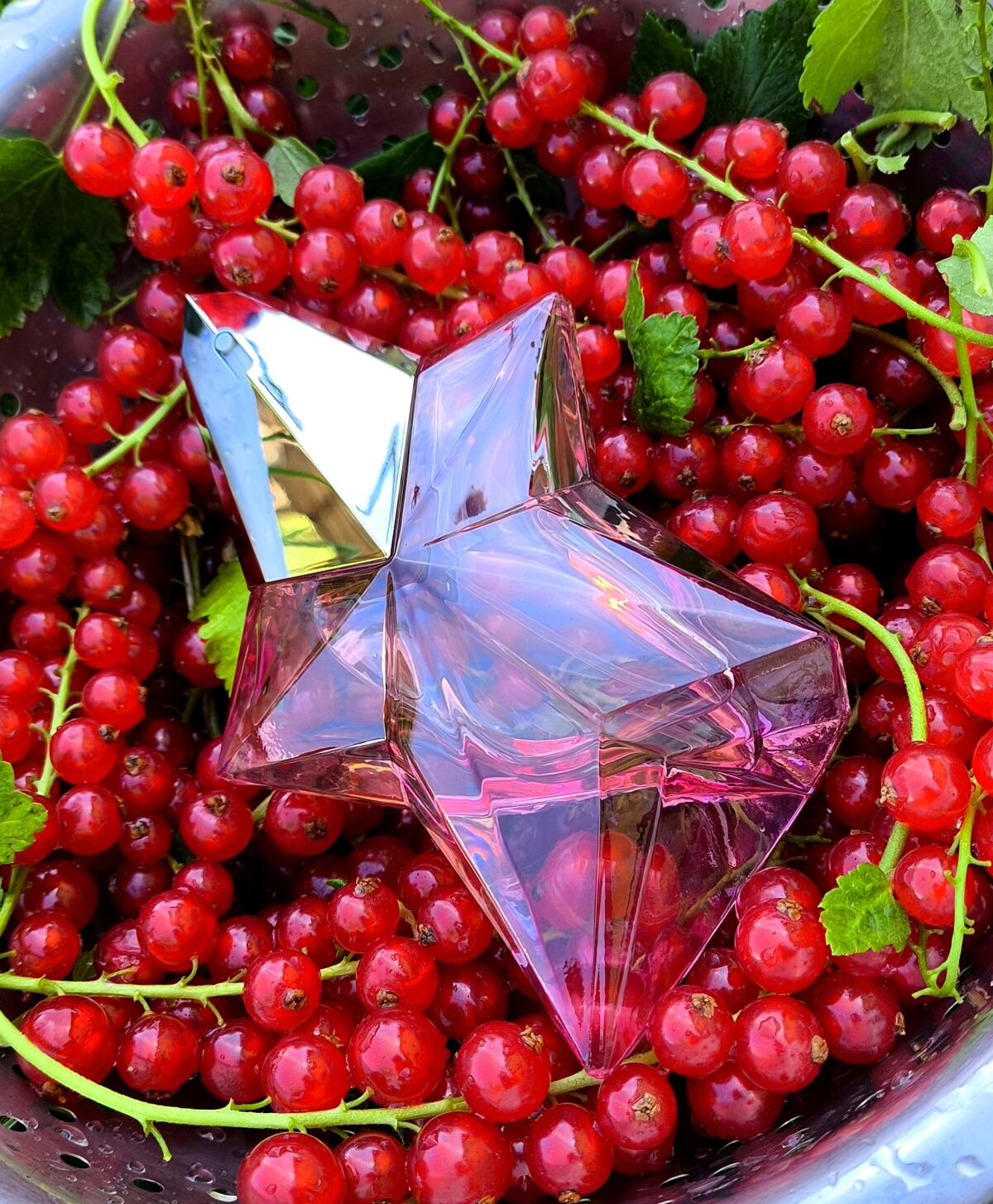 عطر ادکلن انجل نوا او دی تویلت ماگلر - Angel Nova Eau de Toilette Mugler - بررسی، قیمت و خرید