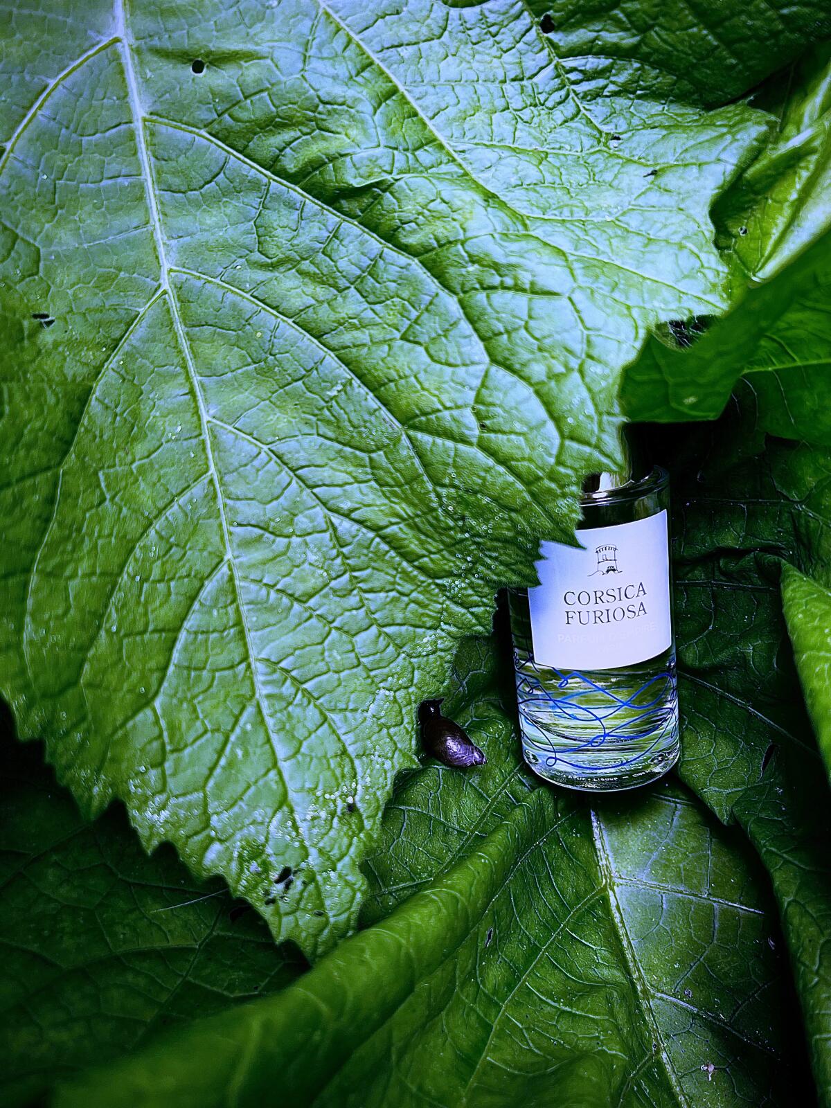 عطر ادکلن کورسیکا فوریوسا پرفیوم د امپایر - Corsica Furiosa Parfum d'Empire - بررسی، قیمت و خرید