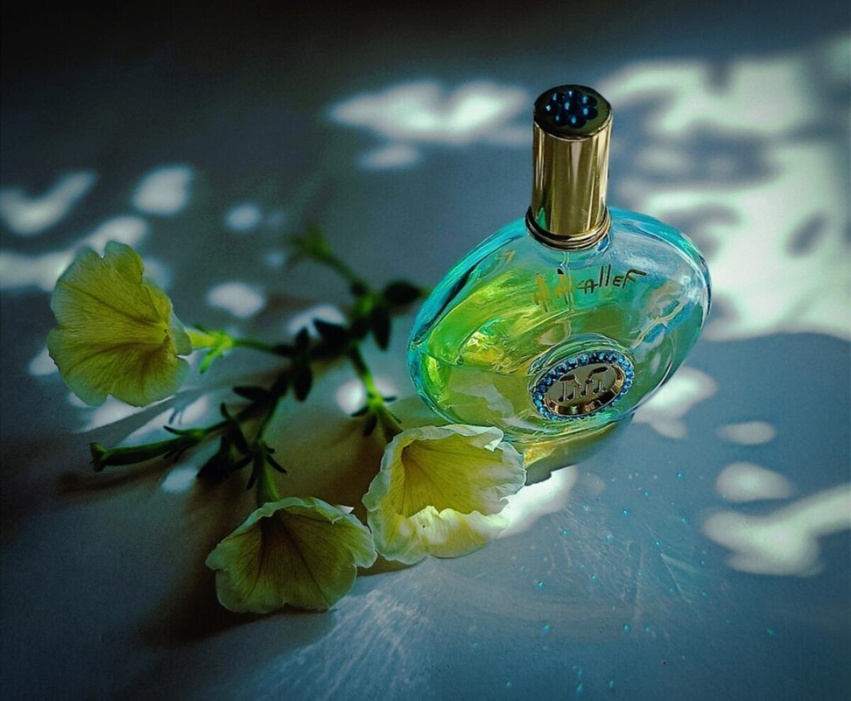 عطر ادکلن نایت عود میکالف - Night Aoud M. Micallef - بررسی، قیمت و خرید