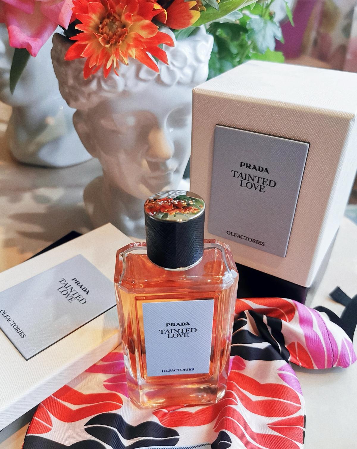 عطر ادکلن تینتد لاو پرادا - Tainted Love Prada - بررسی، قیمت و خرید