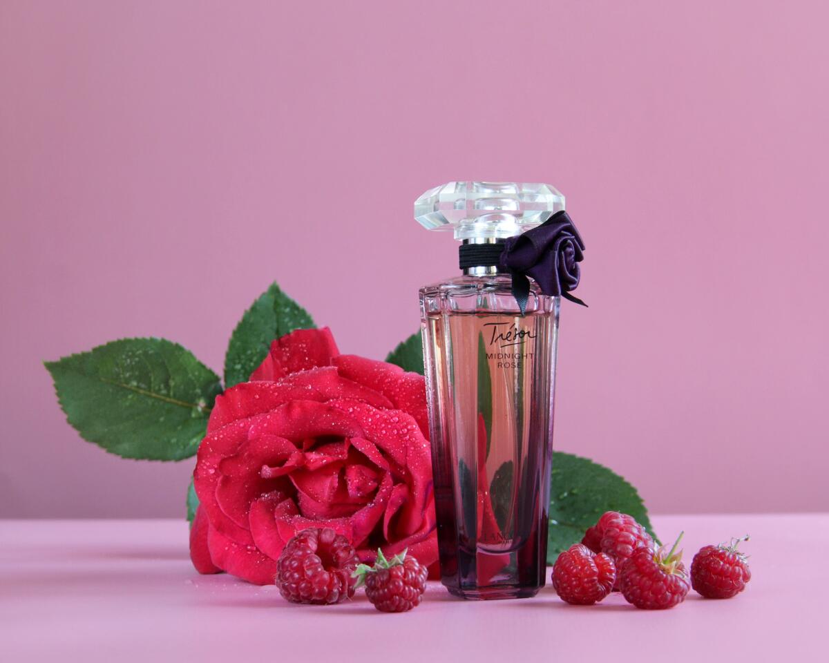 عطر ادکلن ترزور میدنایت رز لَنکوم - Trésor Midnight Rose Lancôme - بررسی، قیمت و خرید