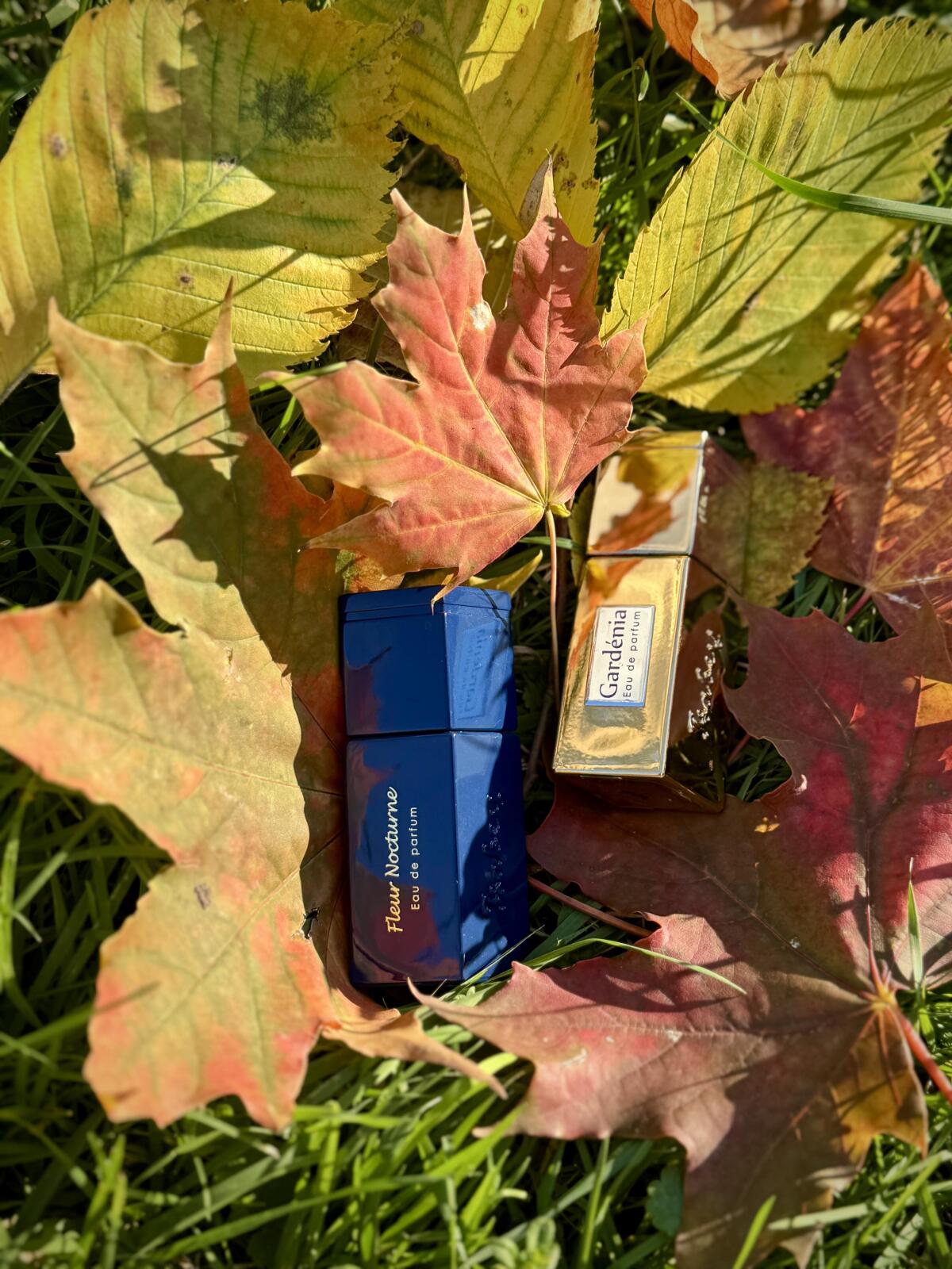 عطر ادکلن ایزابی گاردنیا ایزابی - Isabey Gardenia Isabey - بررسی، قیمت و خرید