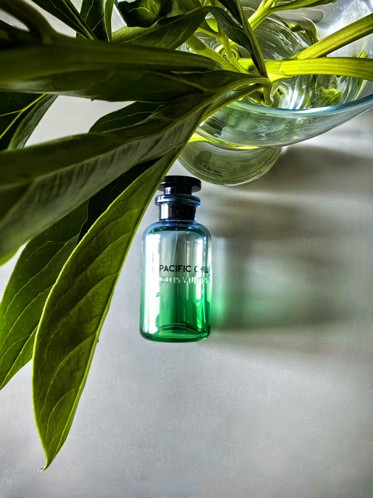 عطر ادکلن پسیفیک چیل لویی ویتان - Pacific Chill Louis Vuitton - بررسی، قیمت و خرید