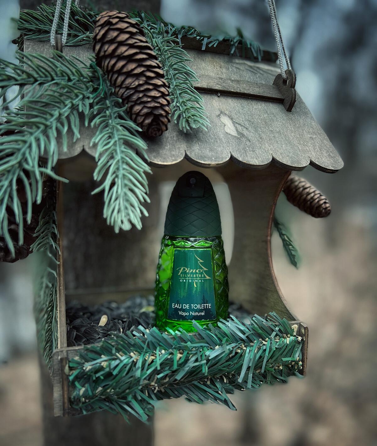 عطر ادکلن پینو سیلوستره اوریجینال پینو سیلوستره - Pino Silvestre Original Pino Silvestre - بررسی، قیمت و خرید