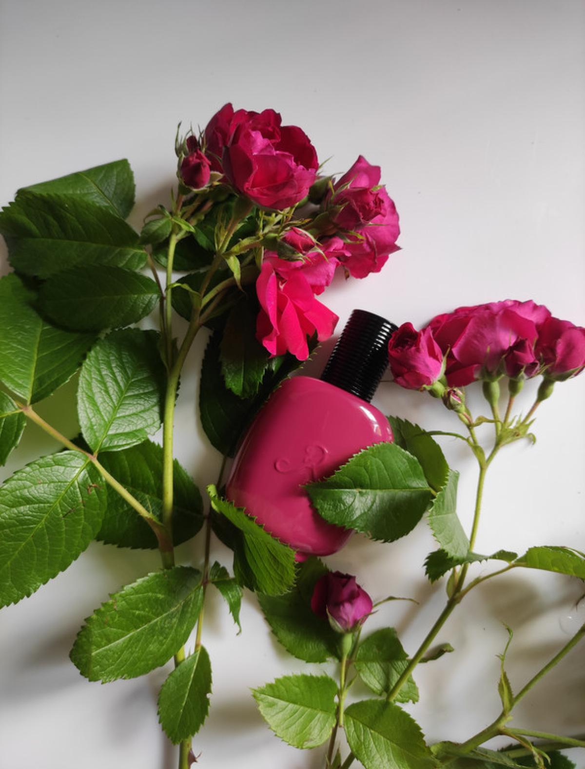 عطر ادکلن بوا فوشیا له پارفوم د روزین - Bois Fuchsia Les Parfums de Rosine - بررسی، قیمت و خرید