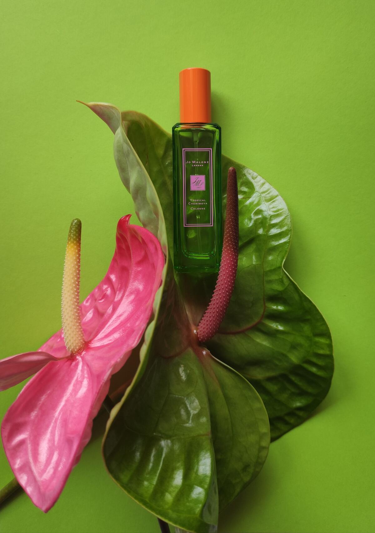 عطر ادکلن ترپیکال چریمویا کلن جو مالون لاندن - Tropical Cherimoya Cologne Jo Malone London - بررسی، قیمت و خرید