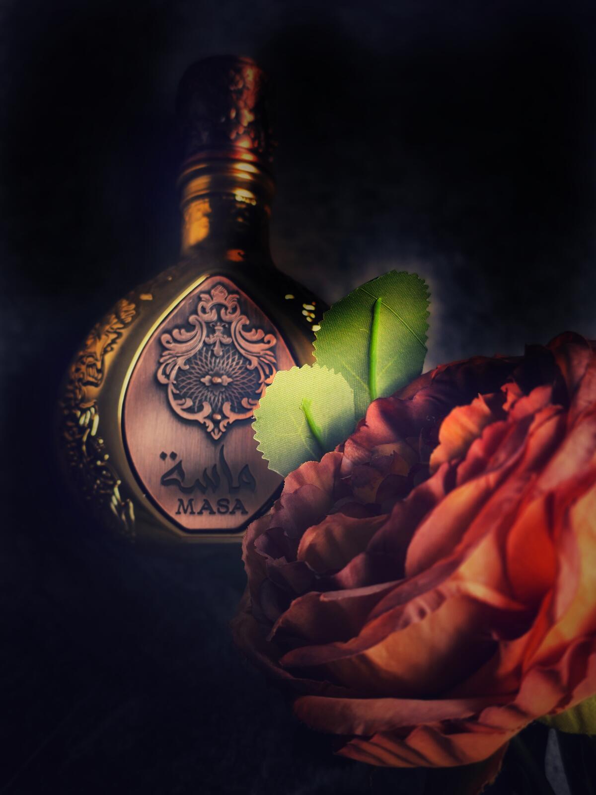 عطر ادکلن ماسا لتافا پرفیومز - Masa Lattafa Perfumes - بررسی، قیمت و خرید