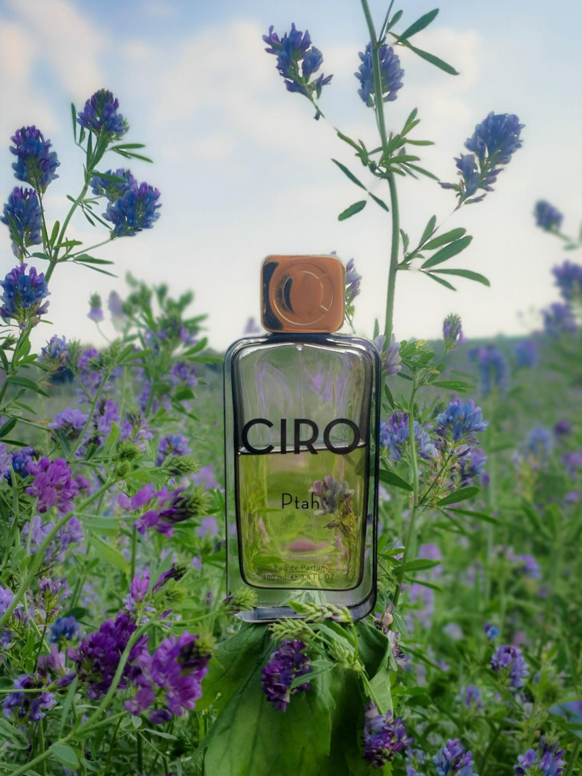 عطر ادکلن پتاح پرفیومز سیرو - Ptah Parfums Ciro - بررسی، قیمت و خرید