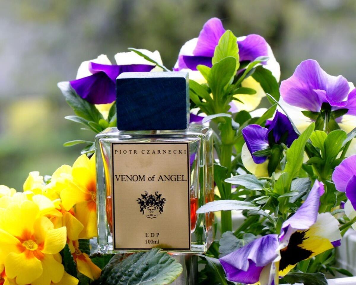 عطر ادکلن ونوم آف آنجل پیوتر چارنکی - Venom of Angel Piotr Czarnecki - بررسی، قیمت و خرید