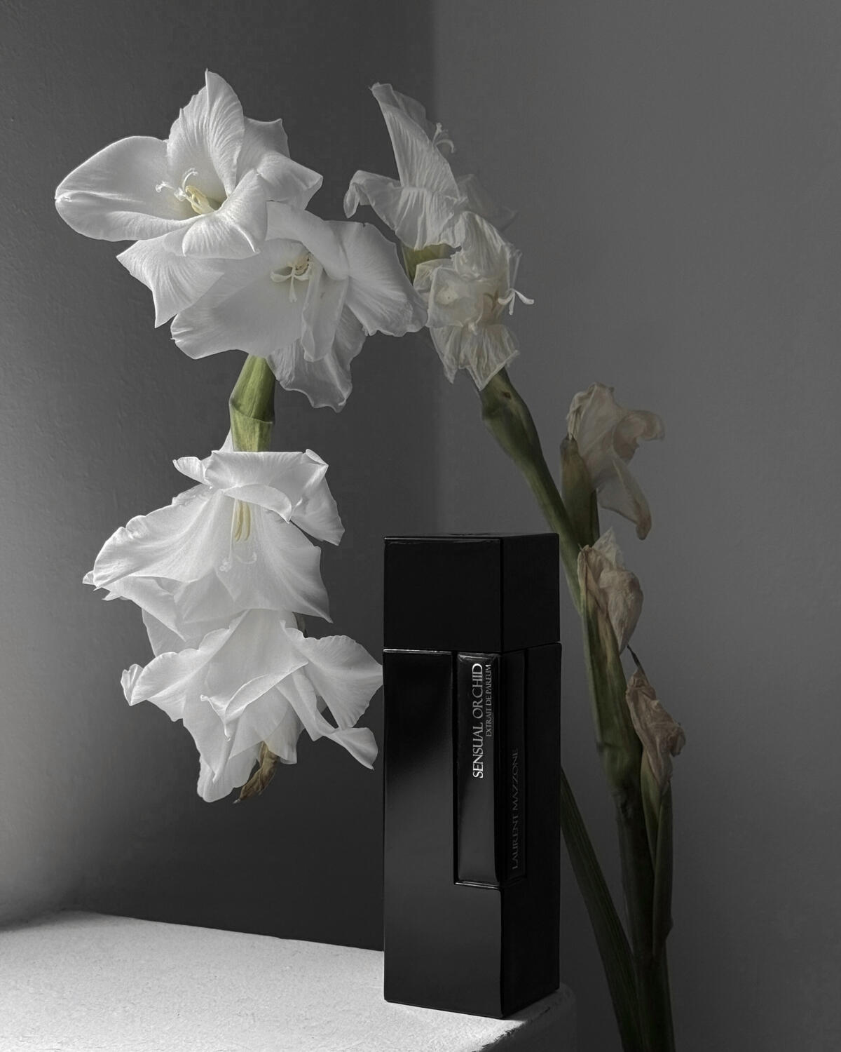 عطر ادکلن سِنشوال اُرکید لورنت مازون پارفوم - Sensual Orchid Laurent Mazzone Parfums - بررسی، قیمت و خرید