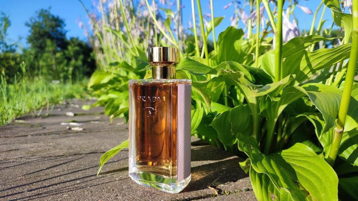 عطر ادکلن پرادا لا فم لو پرادا - Prada La Femme L'Eau Prada - بررسی، قیمت و خرید