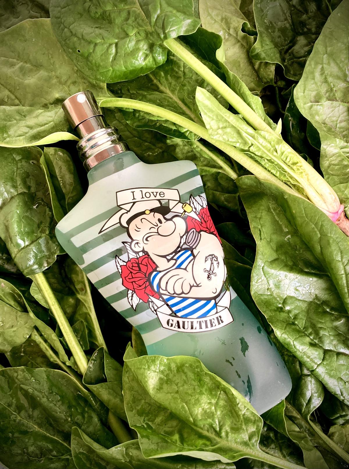 عطر ادکلن لو ماله پوپای او فرش ژان پل گوتیه - Le Male Popeye Eau Fraiche Jean Paul Gaultier - بررسی، قیمت و خرید
