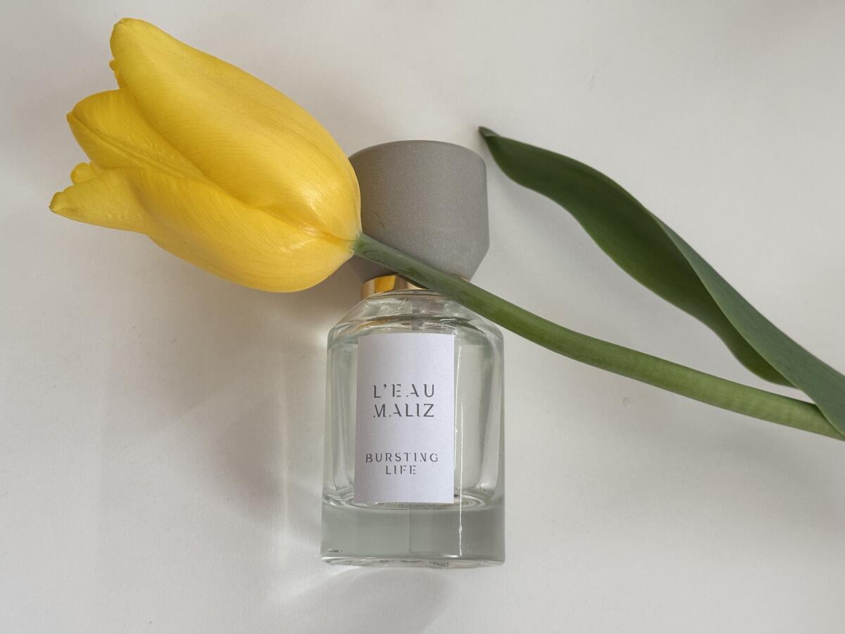عطر ادکلن برستینگ لایف لو مالیس - Bursting Life L'Eau Maliz - بررسی، قیمت و خرید