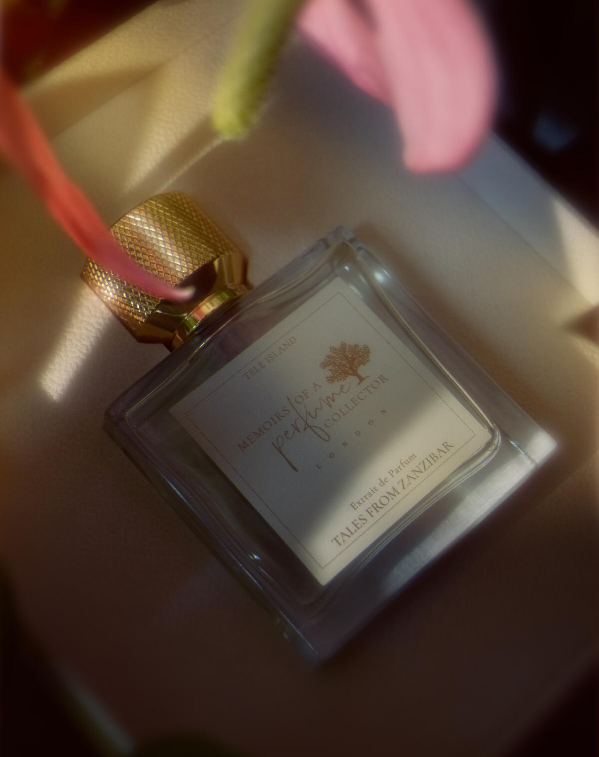عطر ادکلن تیلس فرام زنگبار مموآرز آو اِ پرفیوم کالکتِر - Tales from Zanzibar Memoirs Of A Perfume Collector - بررسی، قیمت و خرید