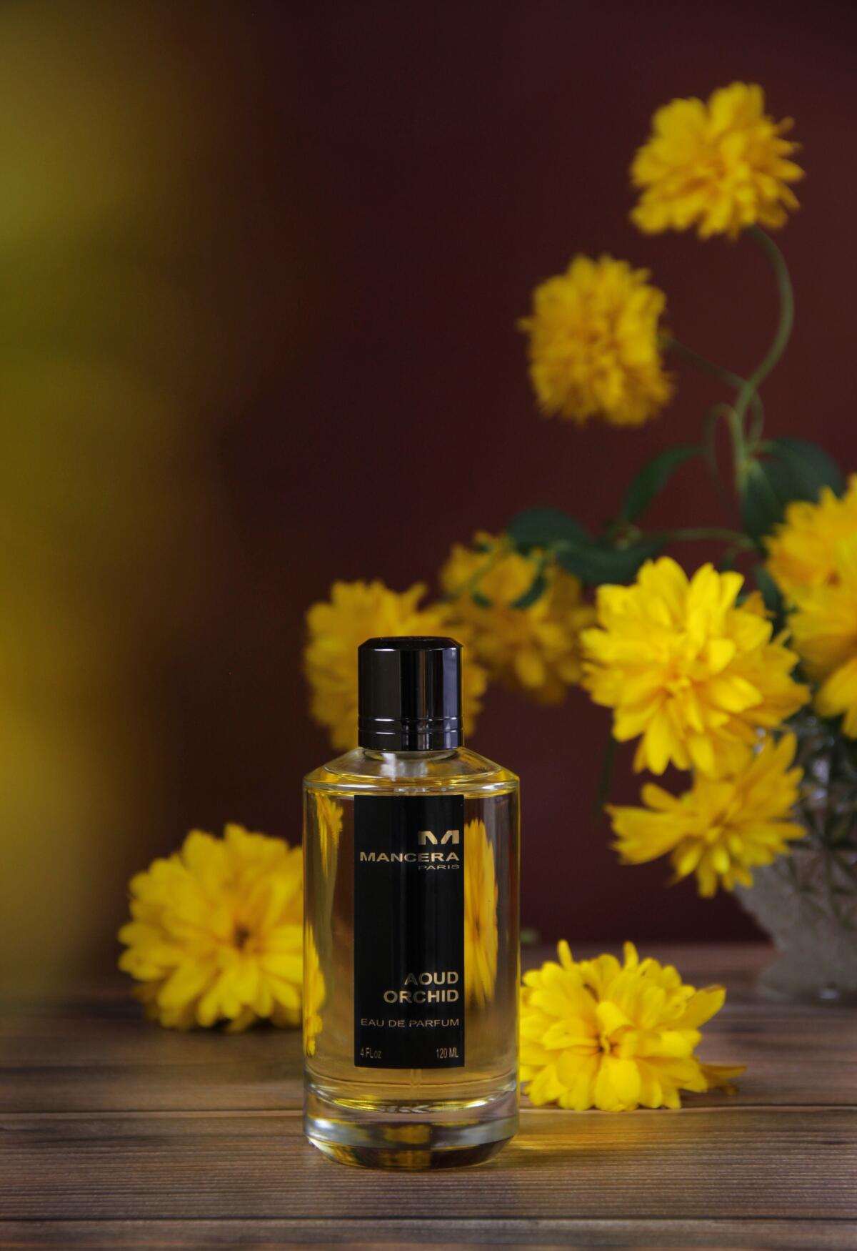 عطر ادکلن عود ارکید مانسرا - Aoud Orchid Mancera - بررسی، قیمت و خرید