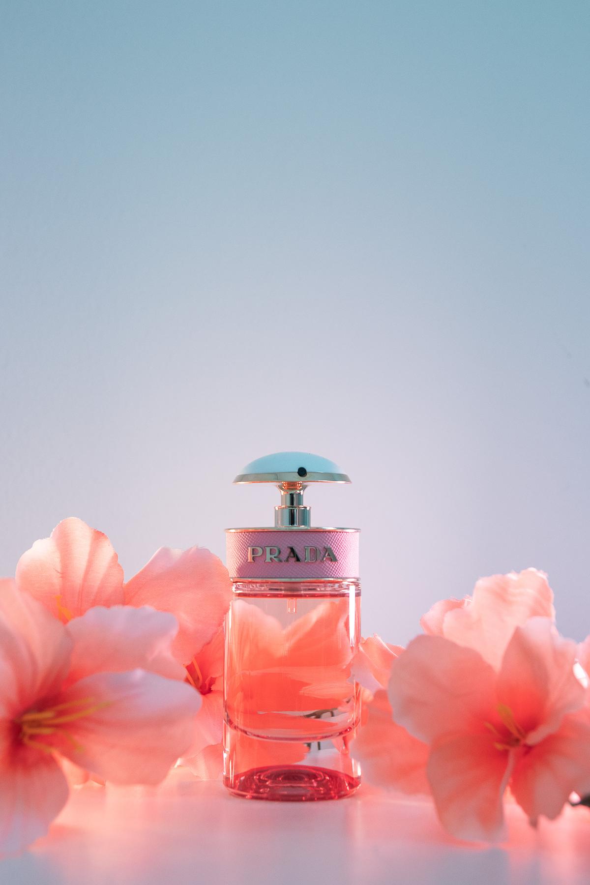 عطر ادکلن پرادا کندی فلورال پرادا - Prada Candy Florale Prada - بررسی، قیمت و خرید