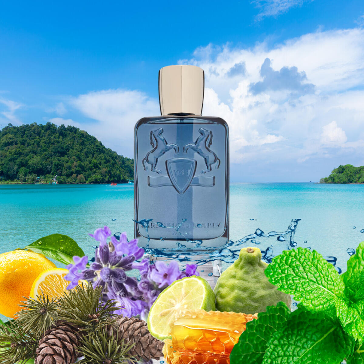 عطر ادکلن سدلی پرفیوم د مارلی - Sedley Parfums de Marly - بررسی، قیمت و خرید