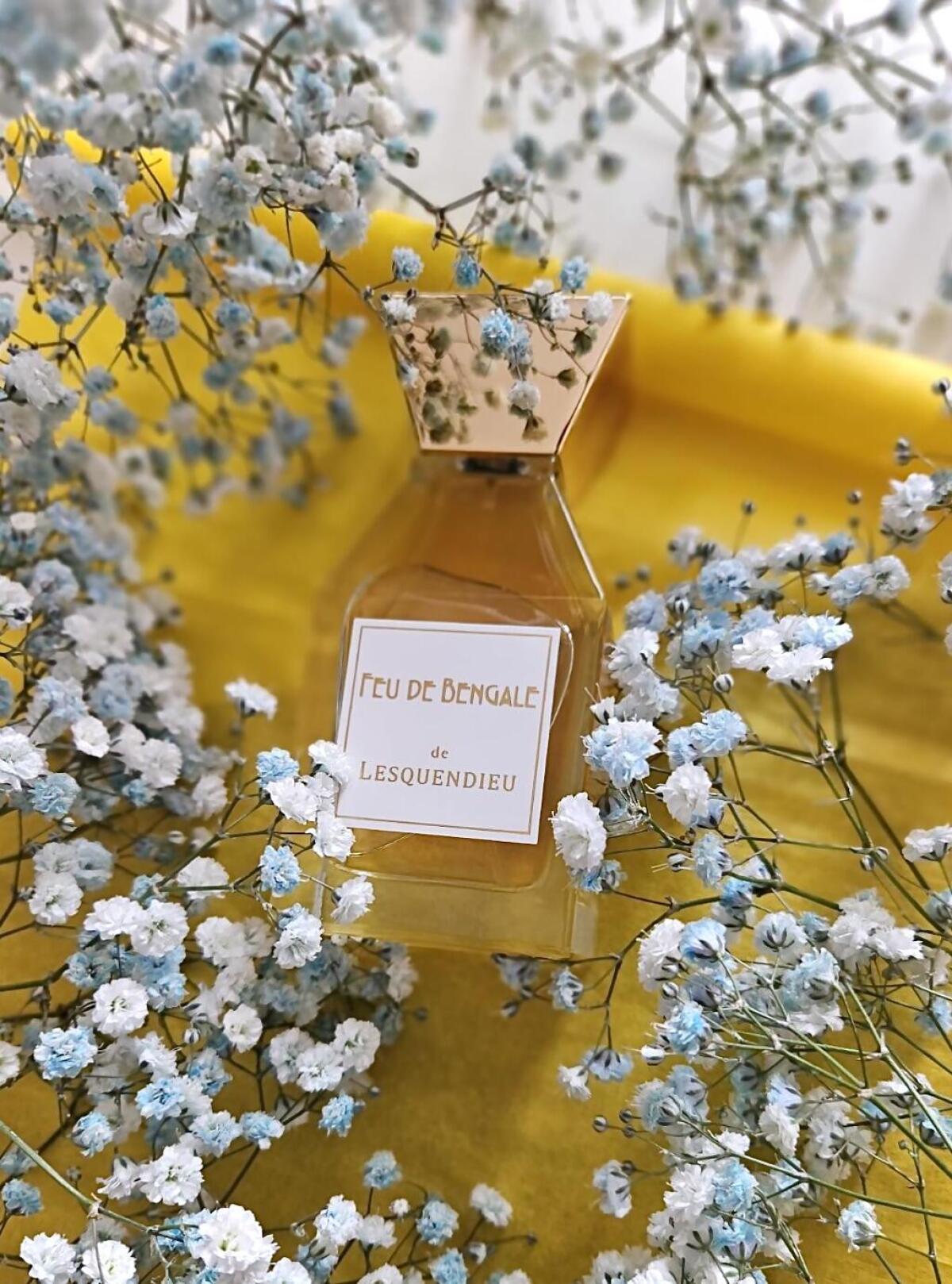 عطر ادکلن فو دو بنگال لسکندیو - Feu De Bengale Lesquendieu - بررسی، قیمت و خرید