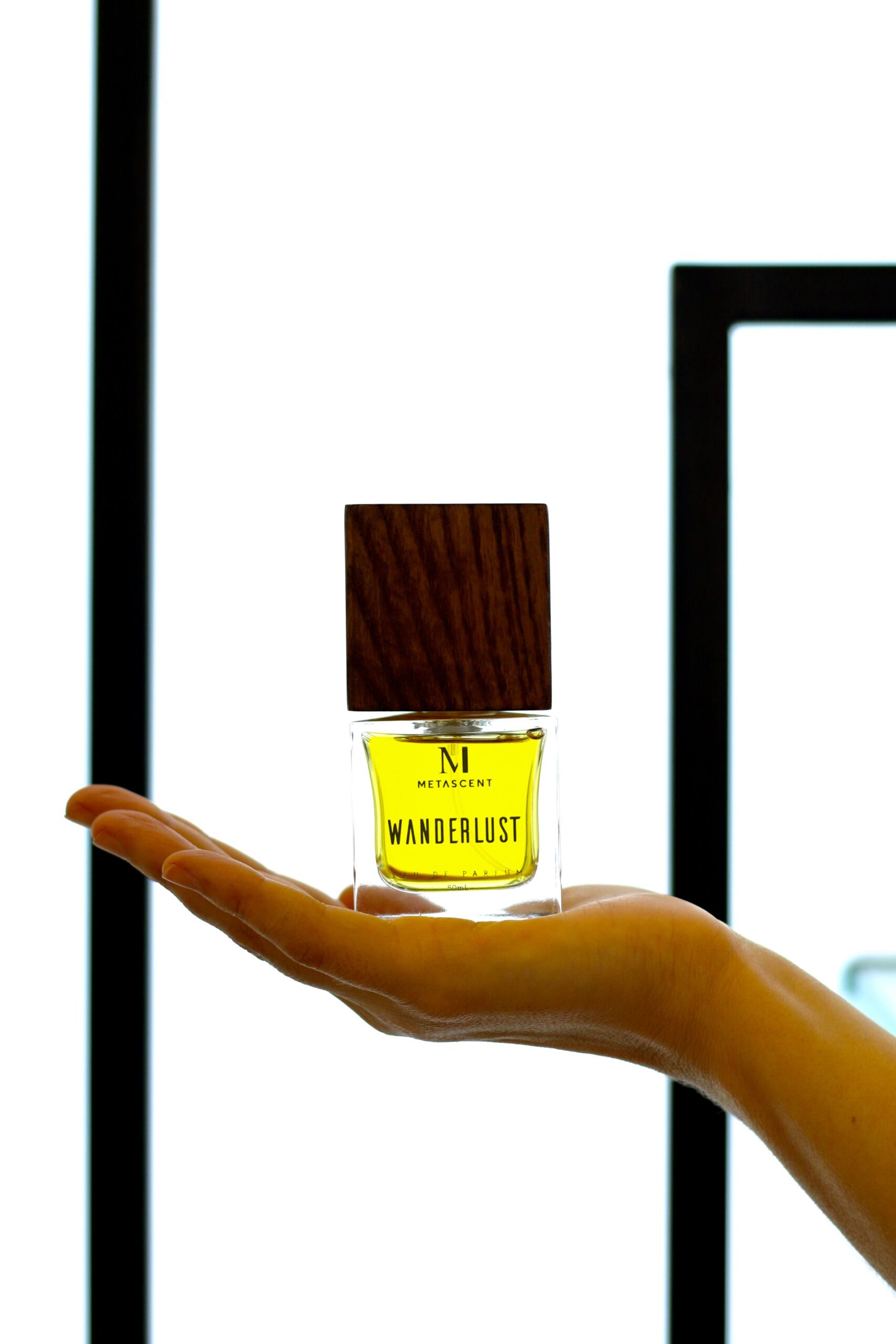 عطر ادکلن واندرلاست متاسنت - Wanderlust MetaScent - بررسی، قیمت و خرید