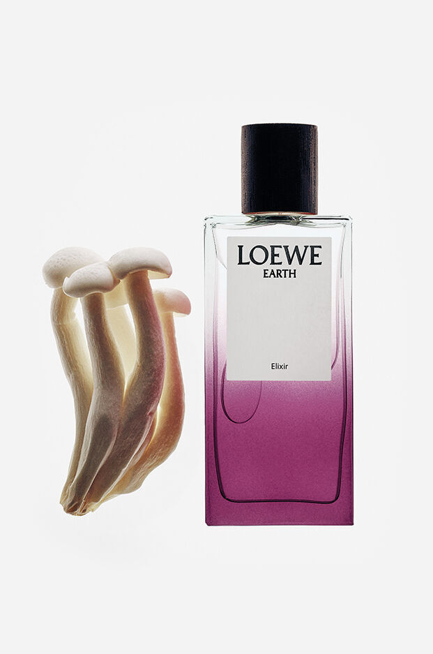 عطر ادکلن اِرث اِلیکسر لووی - Earth Elixir Loewe - بررسی، قیمت و خرید