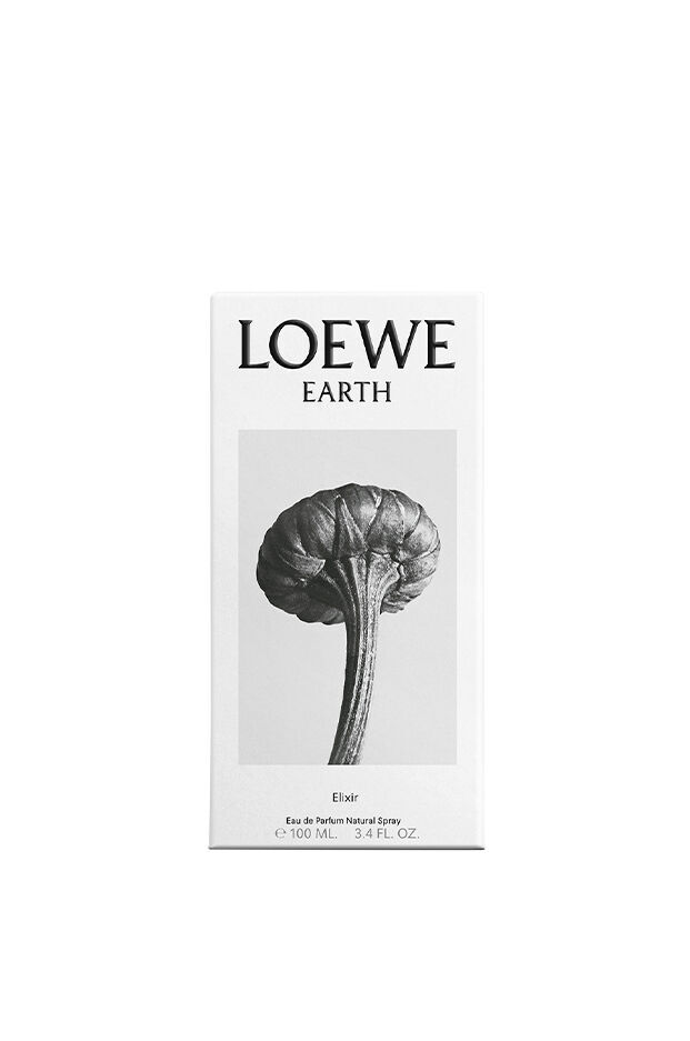 عطر ادکلن اِرث اِلیکسر لووی - Earth Elixir Loewe - بررسی، قیمت و خرید
