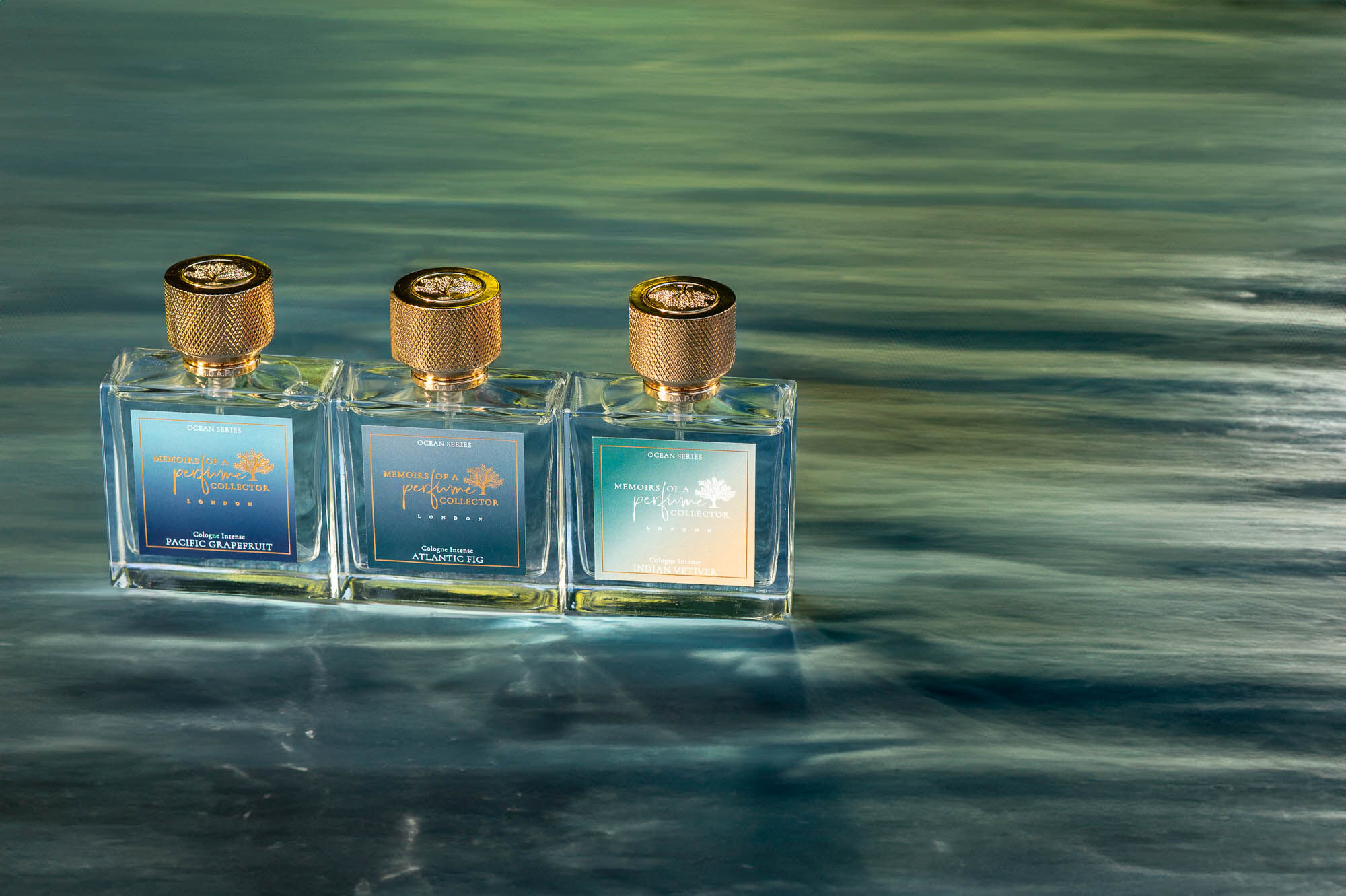 عطر ادکلن اتلانتیک فیگ مموآرز آو ا پرفیوم کالکتور - Atlantic Fig Memoirs Of A Perfume Collector - بررسی، قیمت و خرید