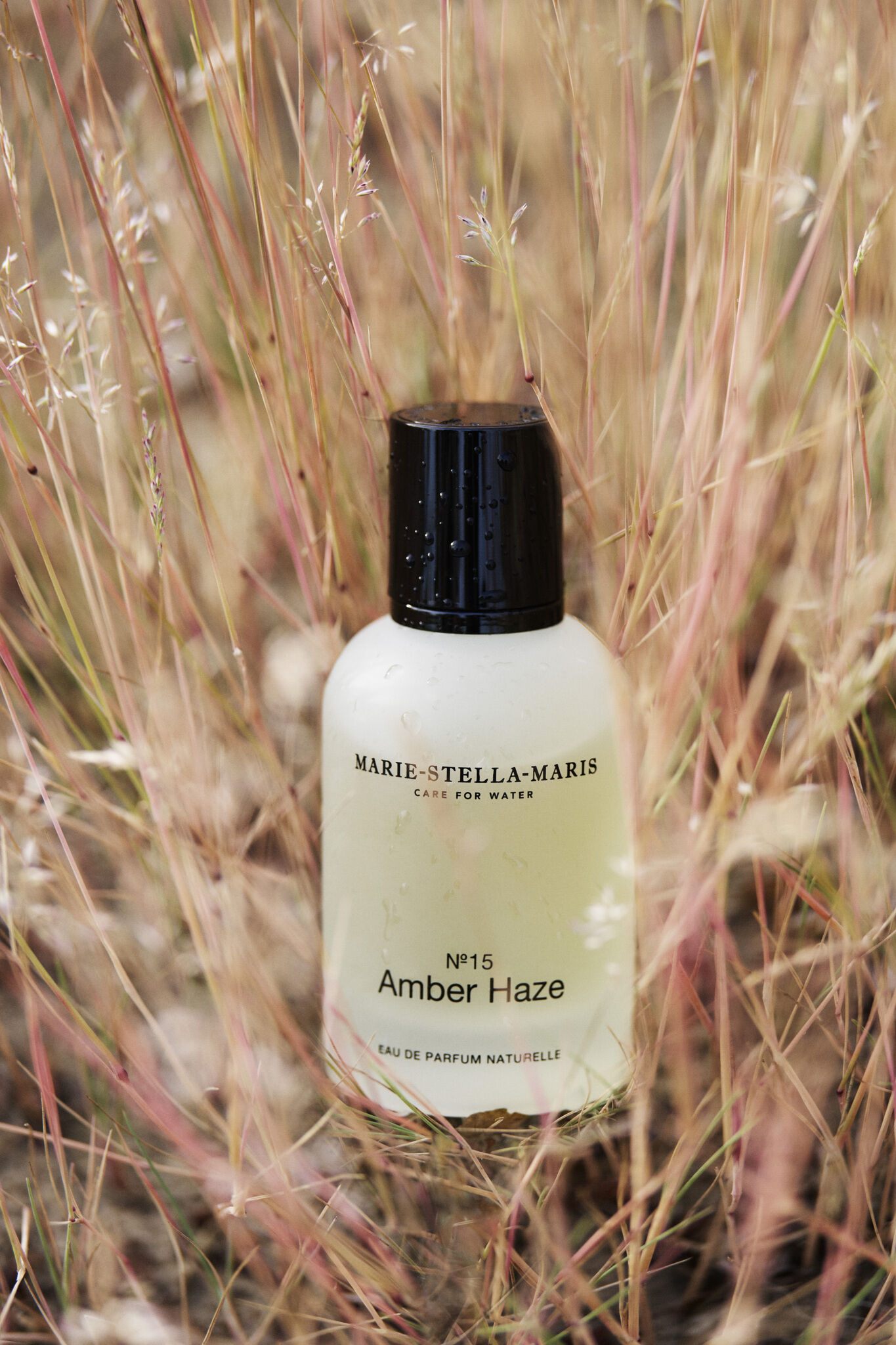 عطر ادکلن امبر هیز نامبر ففتین ماری استلا ماریس - Amber Haze No.15 Marie-Stella-Maris - بررسی، قیمت و خرید