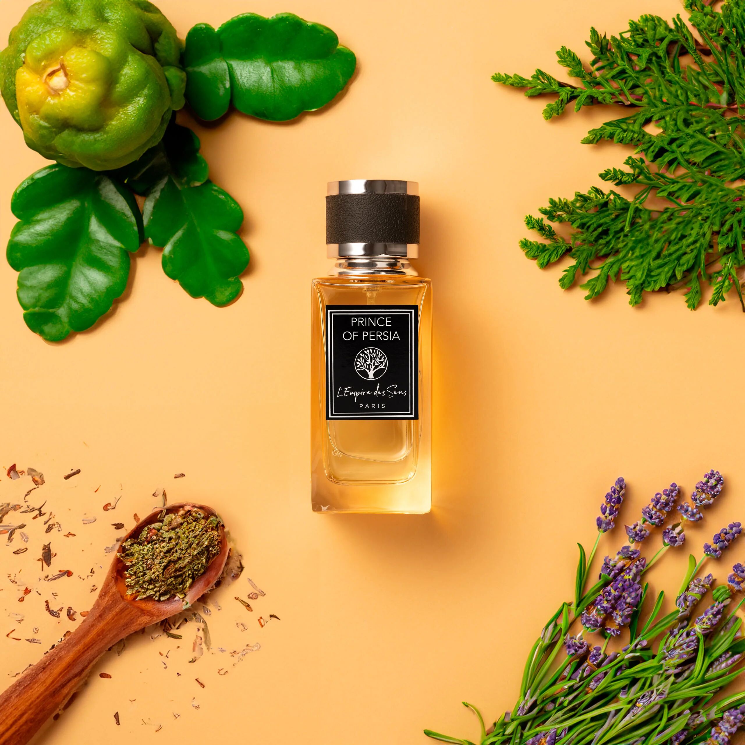 عطر ادکلن پرینس آو پرشیا لامپایر د سانس - Prince of Persia L'Empire des Sens - بررسی، قیمت و خرید