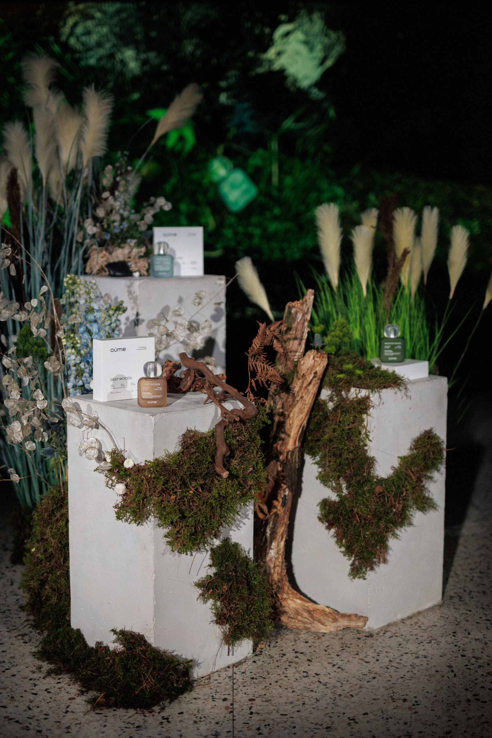 عطر ادکلن دیپ وودز اومه - Deep Woods Oume - بررسی، قیمت و خرید