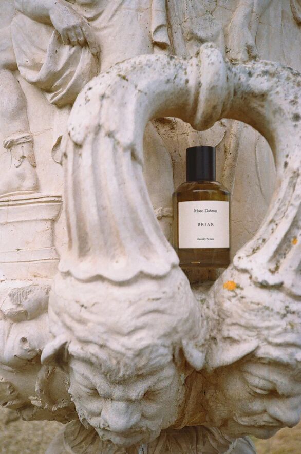 عطر ادکلن بِرایِر مورو دابرون - Briar Moro Dabron - بررسی، قیمت و خرید