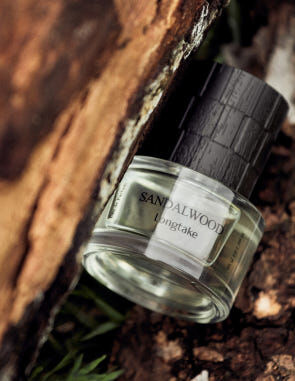 عطر ادکلن صندل وود لانگ تیک - Sandalwood Longtake - بررسی، قیمت و خرید
