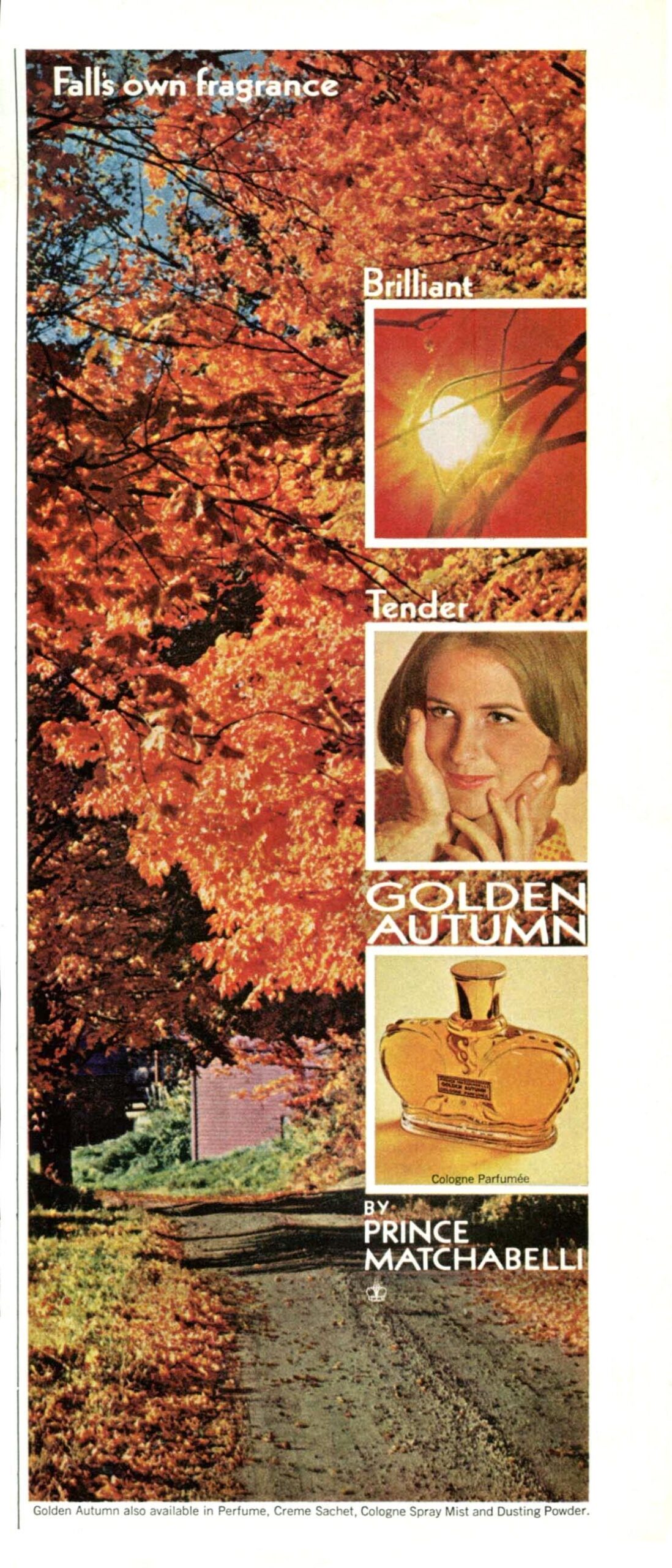 عطر ادکلن گلدن آتام پرینس ماچابلی - Golden Autumn Prince Matchabelli - بررسی، قیمت و خرید