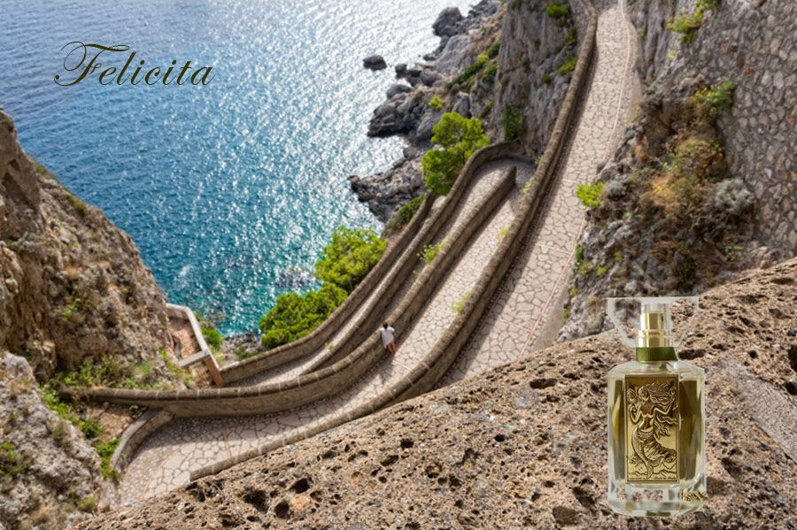 عطر ادکلن فلیچیتا پرودنس پاریس - Felicita Prudence Paris - بررسی، قیمت و خرید