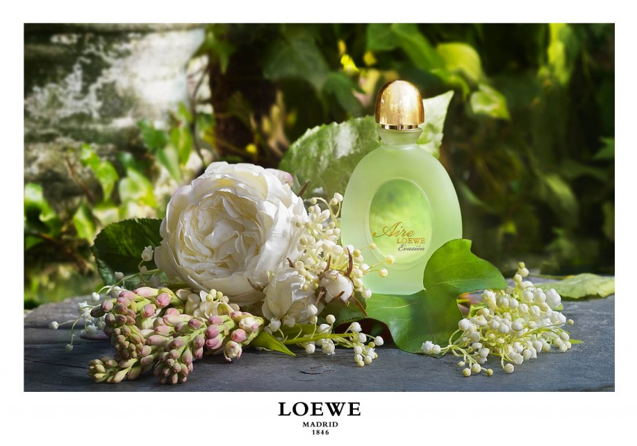 عطر ادکلن ایر اویزون لووه - Aire Evasion Loewe - بررسی، قیمت و خرید
