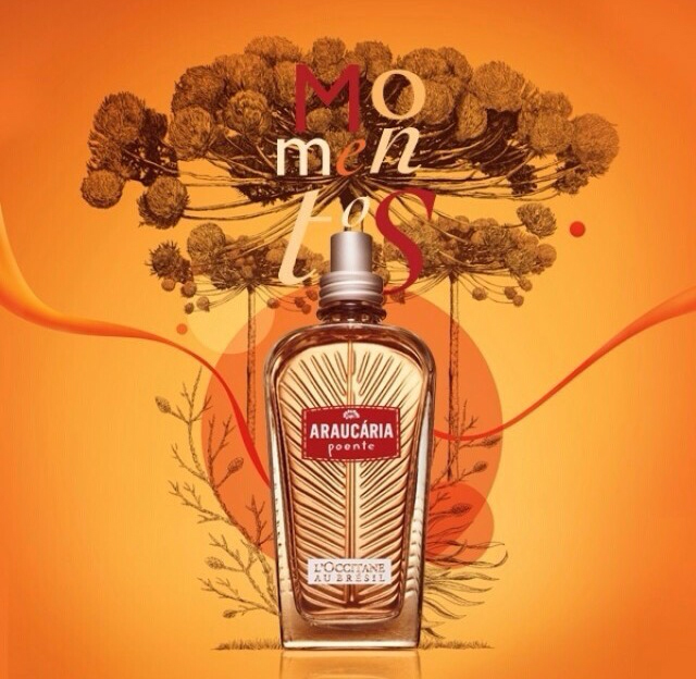 عطر ادکلن آراکاییا پوئِنتی لوکسیتان او برزیل - Araucária Poente L’Occitane Au Brésil - بررسی، قیمت و خرید